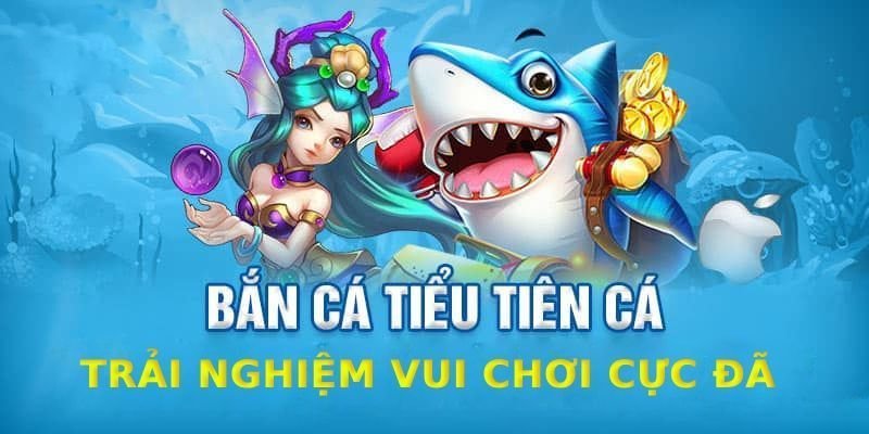 Cao thủ bật mí những lưu ý khi chơi